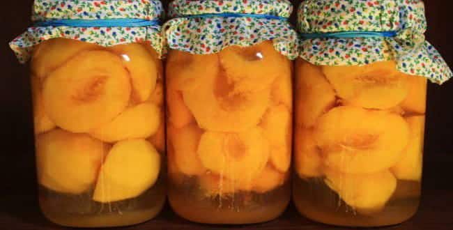 melon and peach compote