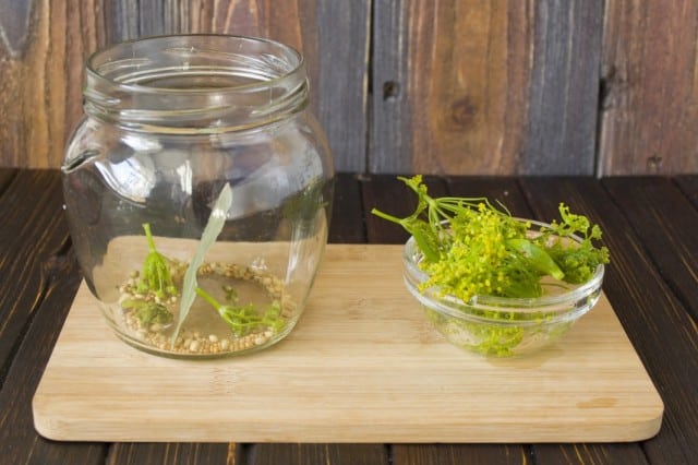 celery pickling process