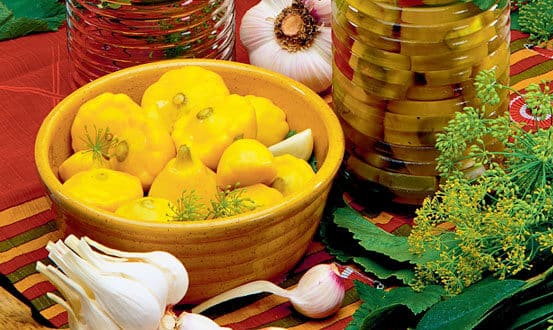 ingredients for salting squash