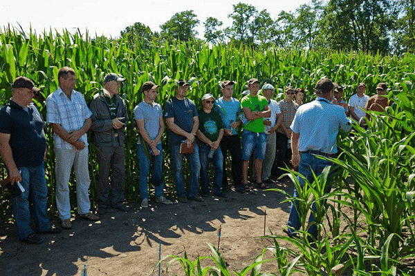 production agricole