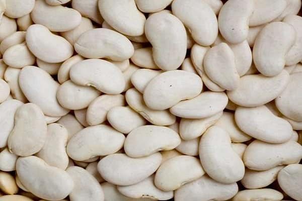 Description of varieties of white beans, useful and harmful properties, cultivation