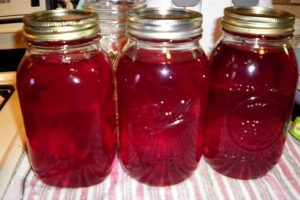 A simple recipe for making lingonberry compote for the winter