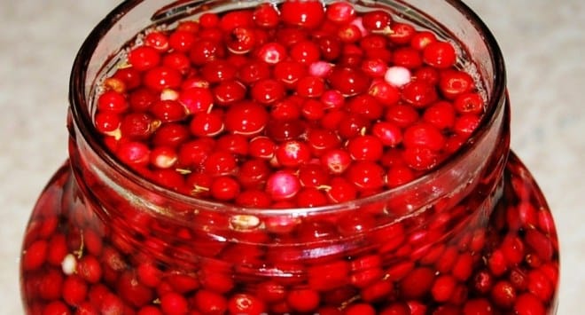 lingonberry in a jar