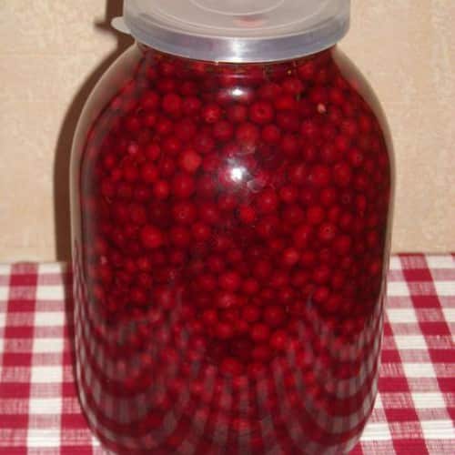 lingonberry in a jar