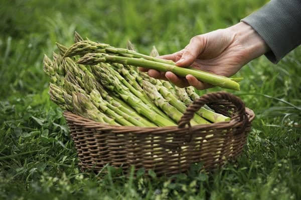 Régions en croissance