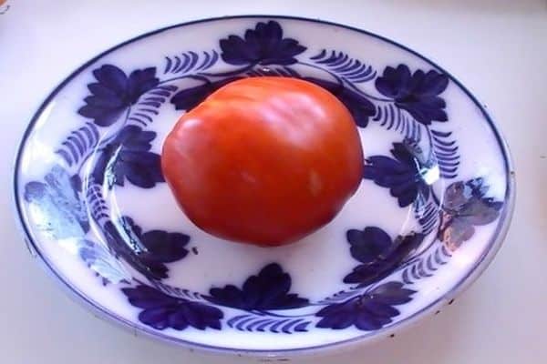 tomato on a plate