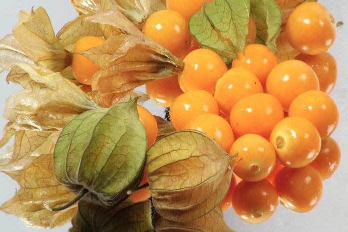 ripe physalis