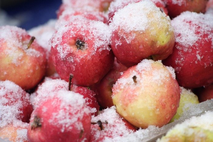 freezing apples