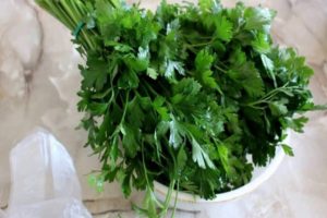 How to properly preserve parsley for the winter at home