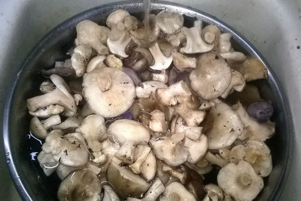 mushrooms are stewed