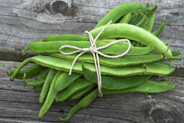 bouquet de haricots