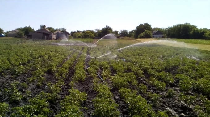 Mechanized watering