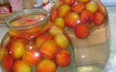 cherry plum compote