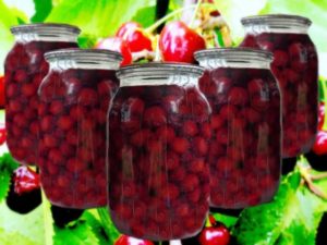 A simple recipe for cherry compote for the winter on a three-liter jar