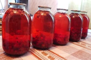 TOP 10 simple recipes for making red bird cherry compote