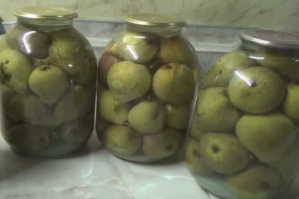 manteniéndolo en el refrigerador