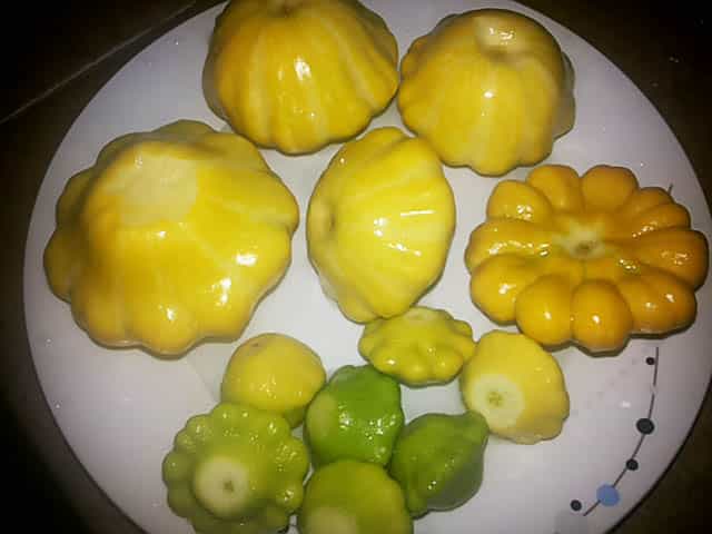 squash on a plate