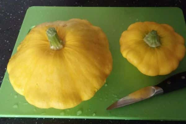 slicing squash