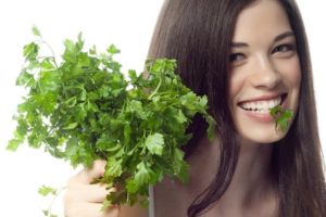 Medicinal properties and contraindications of parsley for the human body