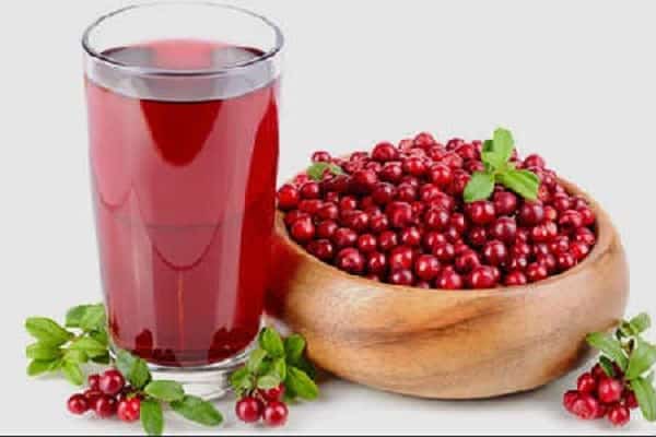 smrznuta lingonberry