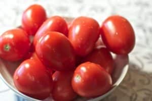 Las variedades dulces insaturadas y de bajo crecimiento más productivas de tomates de la serie Nepas