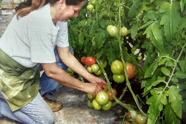 avec des plantes