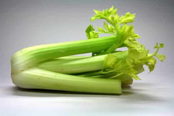 celery