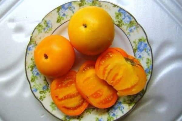 tomatoes in a plate