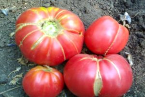 Caractéristiques et description de la variété de tomate Cadeau de grand-mère, son rendement