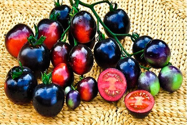 sekumpulan hitam pelbagai tomato