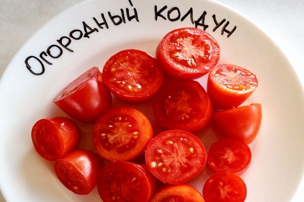 Hechicero del jardín de tomates