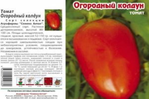 Description of the tomato variety Garden sorcerer, its characteristics and productivity