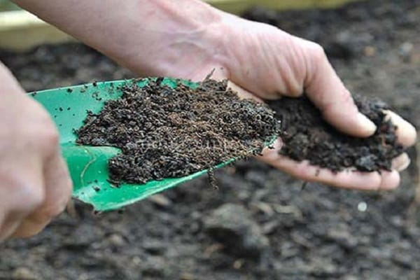 fertilizante para el sitio