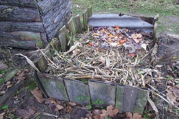 peat compost