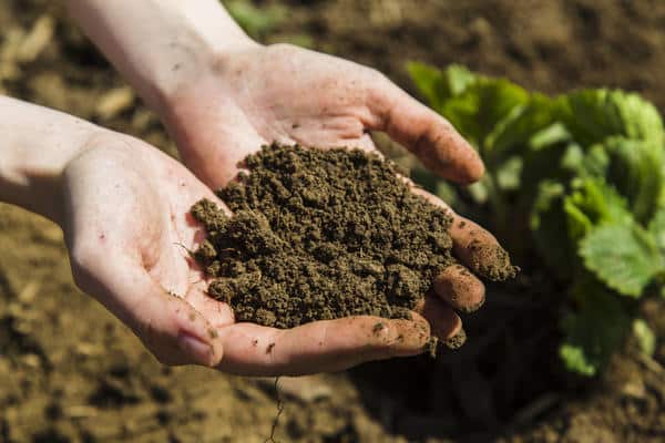 alternativas detrás de un horticultor