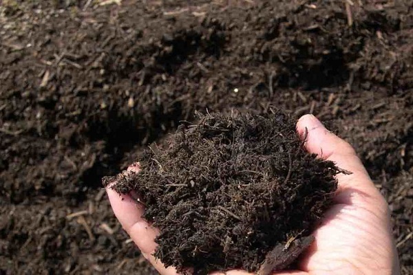 soil fertility