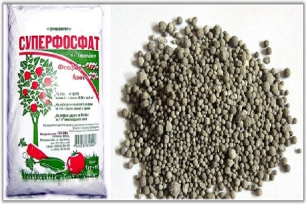 phosphorus fertilizer