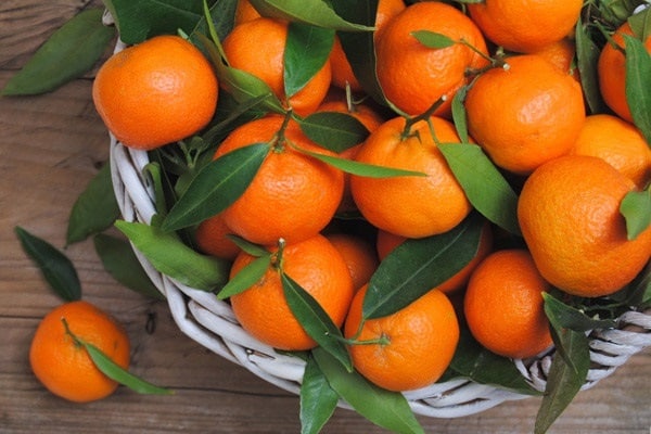 mandarines pour l'hiver