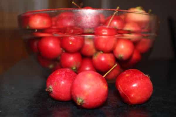 ranetki apples