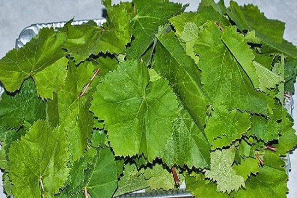 grape leaves