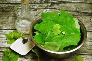 Recipes for pickling grape leaves for the winter