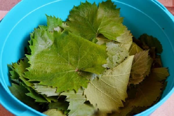 cocinando dolma