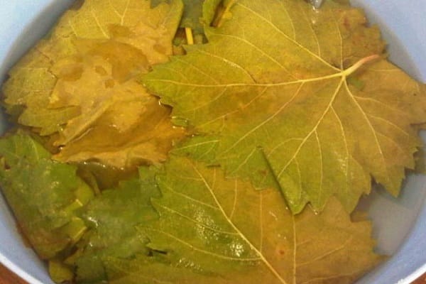 Recipes for pickling grape leaves for the winter