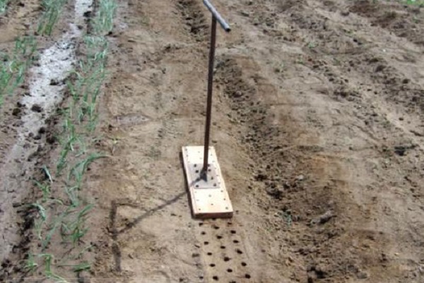 éparpillés dans le jardin