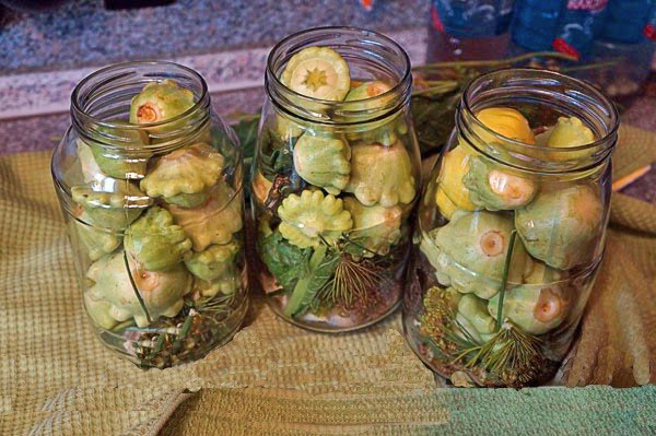 salted squash in jars