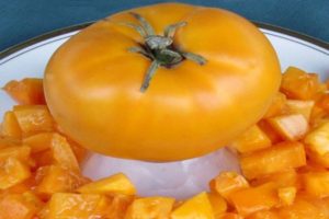 Description of the tomato variety Gilded belyash and its characteristics