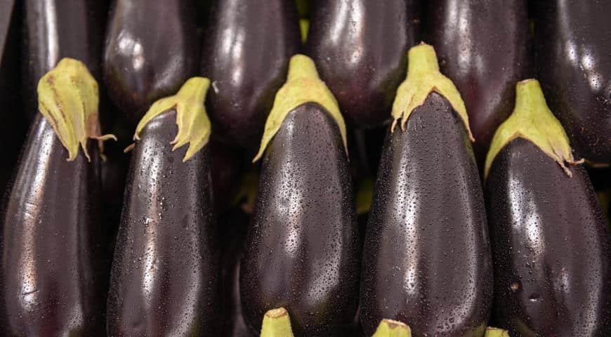 ripe eggplant