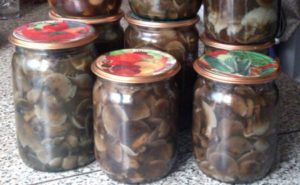 TOP 10 recipes for pickling barn mushrooms at home for the winter