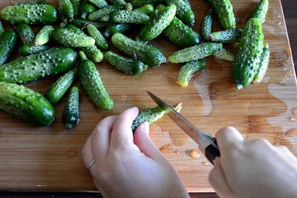 proceso de corte de pepino