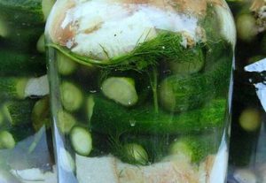 Recetas sencillas para encurtir y encurtir pepinos con vinagre de sidra de manzana sin esterilizar para el invierno.